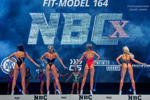 FIT-MODEL 164- 1 раунд